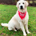 Moms Logo Pet Bandana